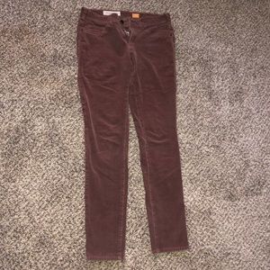 Anthropologie Corduroys